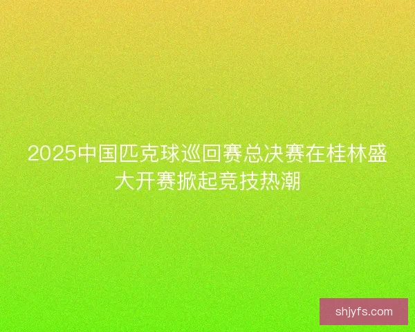 2025中国匹克球巡回赛总决赛在桂林盛大开赛掀起竞技热潮