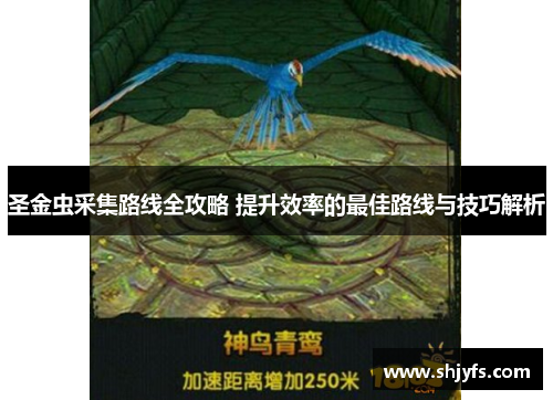 圣金虫采集路线全攻略 提升效率的最佳路线与技巧解析